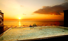 �˓c����@�C�̂قĂ�@������