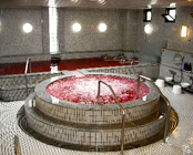 �T���p�[�N�z�e������