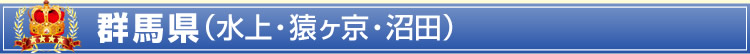 群馬県(水上・猿ヶ京・沼田)