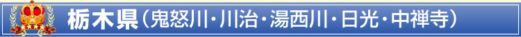 栃木県(鬼怒川・川治・湯西川・日光・中禅寺)