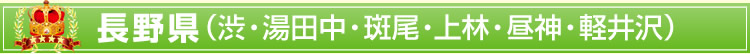 長野県(渋・湯田中・斑尾・上林・昼神・軽井沢)