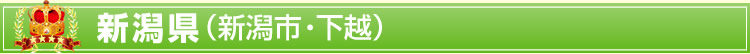 新潟県(新潟市・下越)