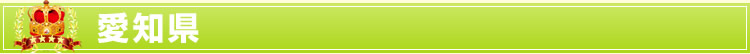 愛知県