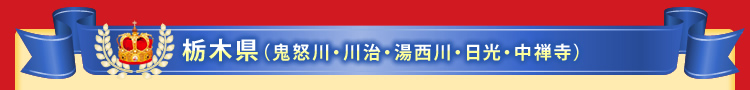 栃木県(鬼怒川・川治・湯西川・日光・中禅寺)