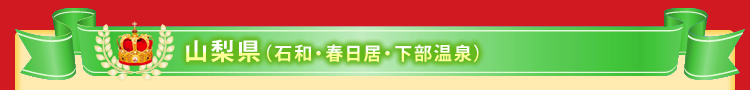 山梨県(石和・春日居・下部温泉)