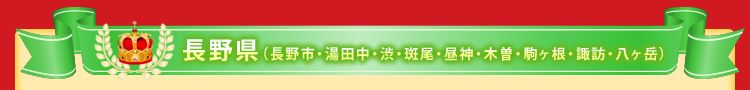 長野県(長野市・湯田中・渋・斑尾・昼神・木曽・駒ヶ根・諏訪・八ヶ岳)