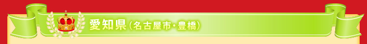 愛知県(名古屋市・豊橋)