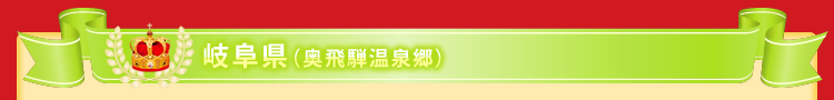 岐阜県(奥飛騨温泉郷)
