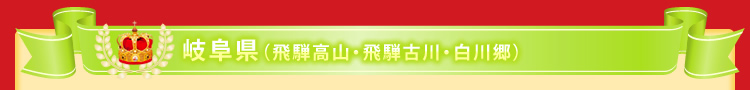 岐阜県(飛騨高山・飛騨古川・白川郷)