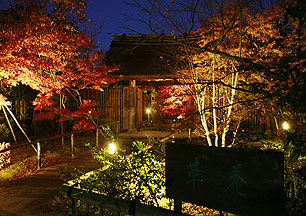 湯の川温泉 湯宿 草菴