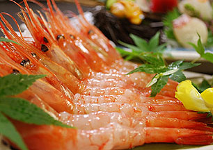 ����牷��@�O�����f�B�A�F��