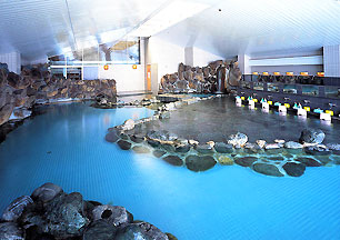 石和温泉 ホテルふじ