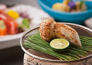 �O�J����@�Ђ����z�e��