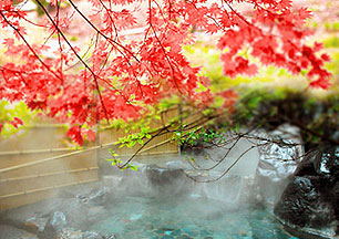 �쎡����@���h�@���R�t