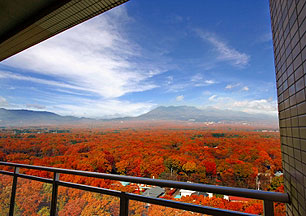 那須温泉 ホテルエピナール那須
