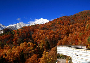 �䍂���򋽁@�z�e���A���r�G���g���ܖ�