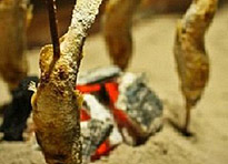 �z�e���ΐS��