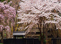 �t�H���N���[���p�ف�JR�����{�z�e���Y��