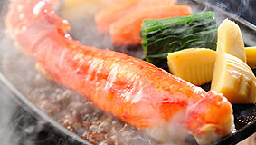 ���ɂ̂��h