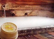 �q���򋽁@������̓�