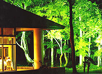 �z�e���@�t�H���X�^���C