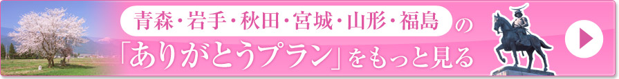 青森・岩手・秋田・宮城・山形・福島の「ありがとうプラン」をもっと見る