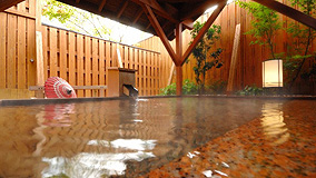 �������k������@��̉ԁ@�ĎR��