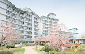 �H�ۉ���@⾉΂̓��@�ΐ���