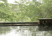 ������@���藷��