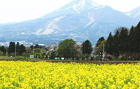 �z�e�����X�e�����c��E�C���O�^���[