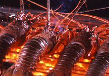 �V�[�T�C�h�z�e���~�]��