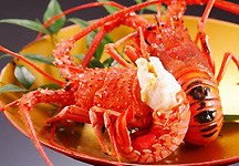 �΋����z�e���_��ǁi������j