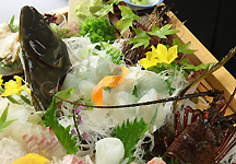 �Ԃ̏��h�@�d���q