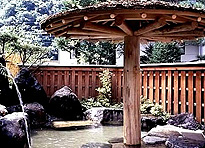 新平湯温泉 長作の宿 なかだ屋