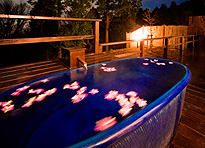 蒲郡温泉 天の丸別邸 風の谷の庵