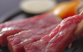 下呂温泉 和みの畳風呂物語の宿 小川屋