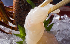 ���H�r���[�z�e���@�Ԑ^��