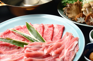 下呂温泉 ホテルパストール