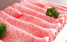 飛騨古川スペランツァホテル