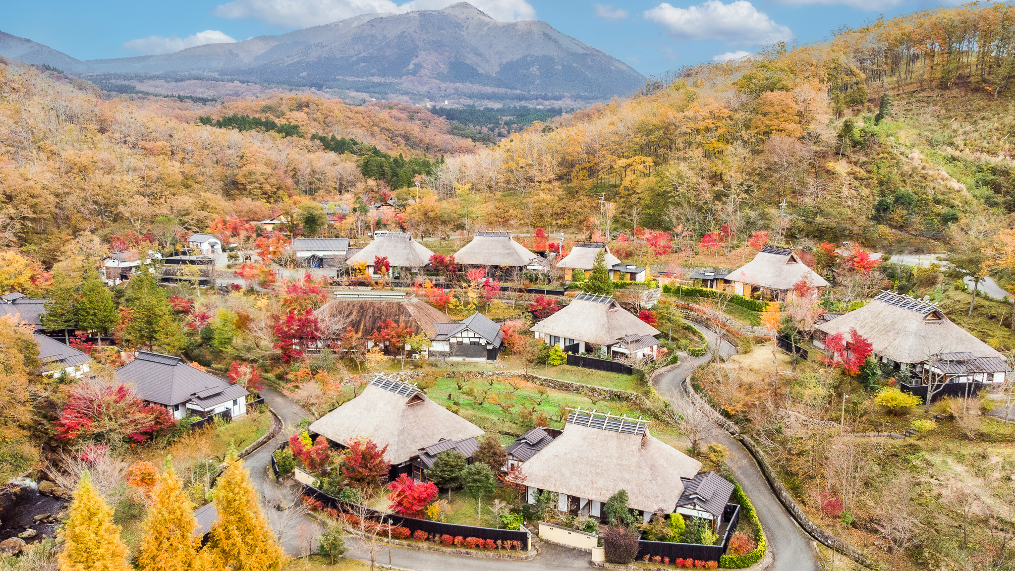 ���쉷��@�[�R�R��(�݂��)�y�F�{���z