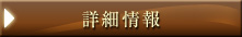 詳細情報