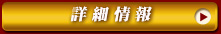 詳細情報