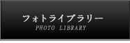 フォトギャラリー