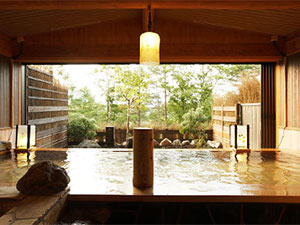 ���É���@���h�@�؂̗t�i���̂́j