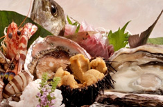 星海幽月 夢遊華