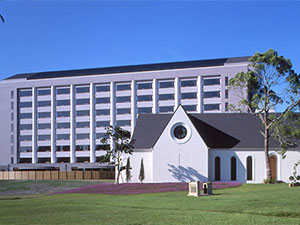 ���}�n���]�[�g�@�ܗ�