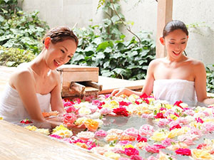 ���ƂЂ牷��@�ՎQ�t