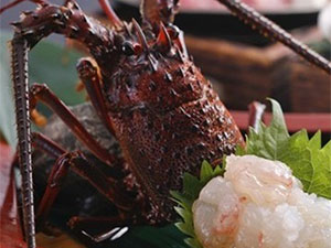 �l�ӂ̂��h�@�����p�V�t�B�b�N�z�e��