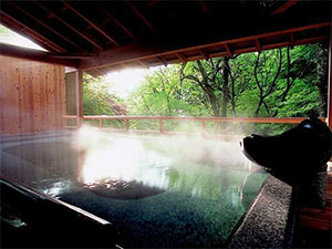 ���C����@�������т̏h�@���C�ό��z�e���{��