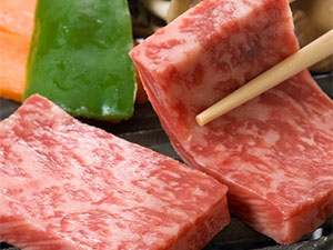 ���㉷��@����O�����h�z�e��